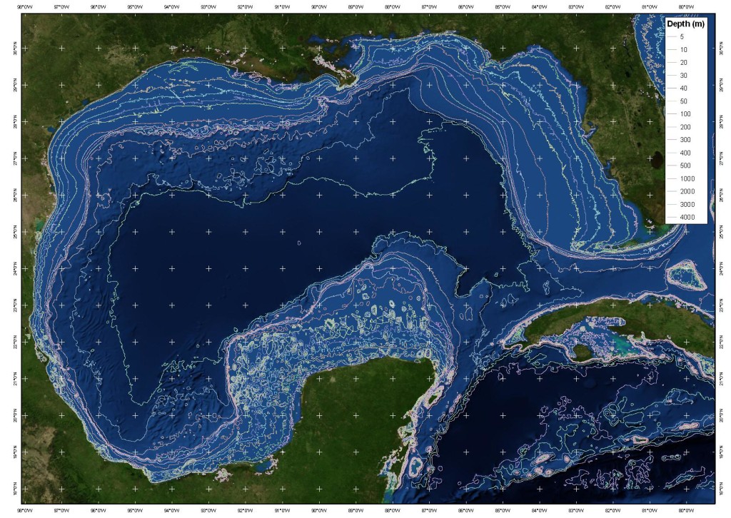 (Gulf of Mexico)